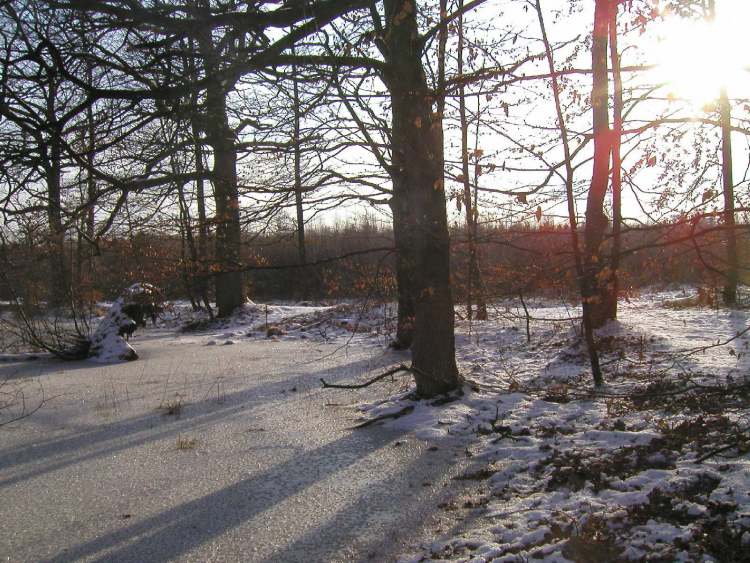 Naturschutzgebiet Viehweide bei Obersteinbach mit Wintersonnenschatten (Bitte hier klicken um dieses Bild in seiner vollen Größe zu betrachten)