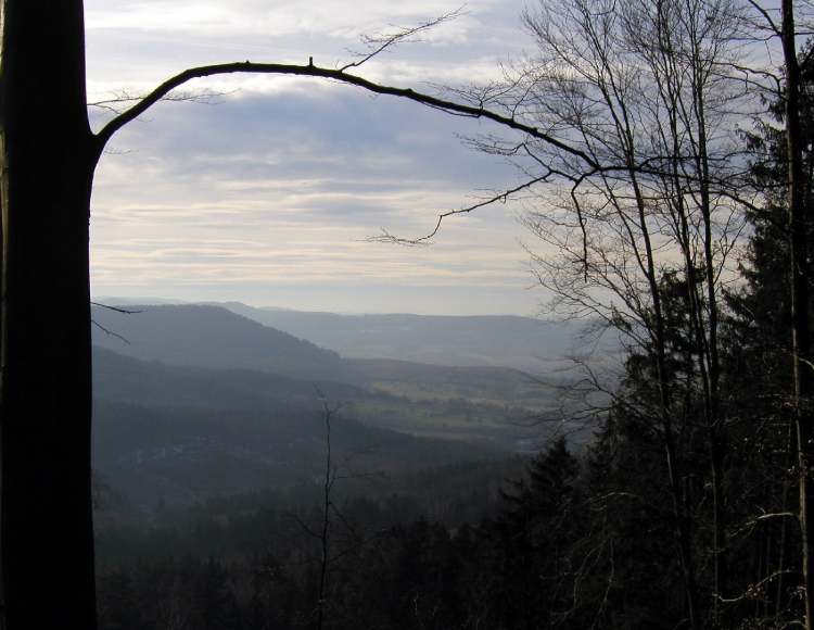 Waldausblick (Bitte hier klicken um dieses Bild in seiner vollen Größe zu betrachten)