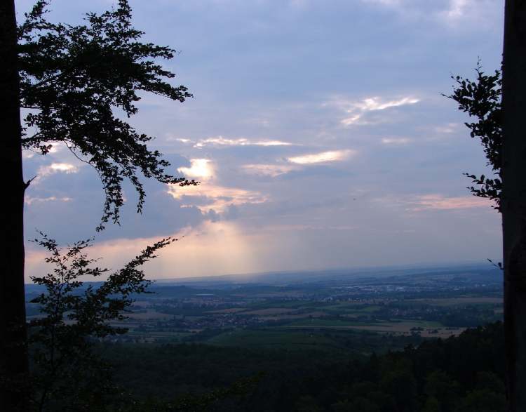 Waldausblick am Abend (Bitte hier klicken um dieses Bild in seiner vollen Größe zu betrachten)