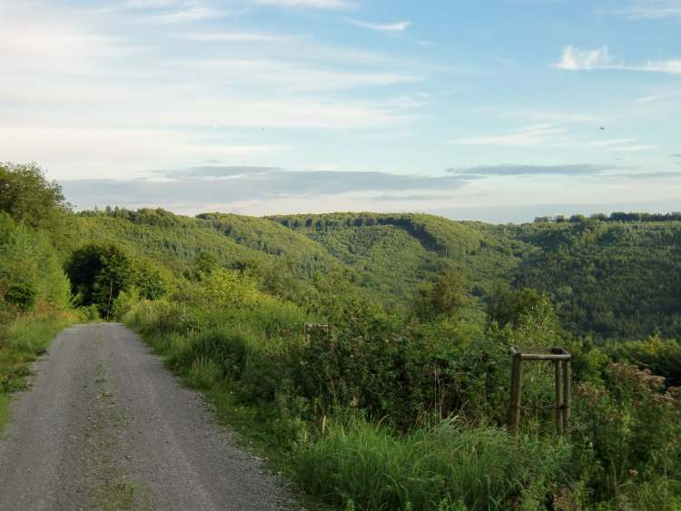 viel Wald (Bitte hier klicken um dieses Bild in seiner vollen Größe zu betrachten)