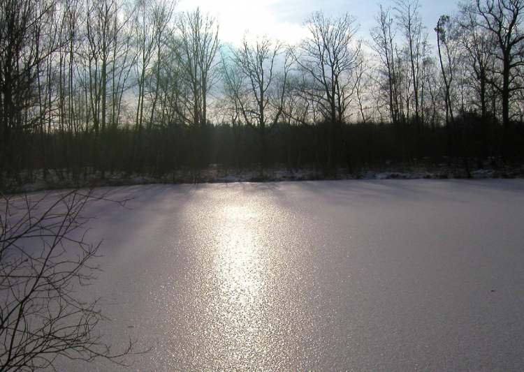 Eisschicht auf dem See (Bitte hier klicken um dieses Bild in seiner vollen Größe zu betrachten)