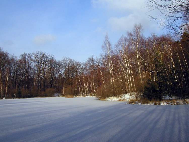 lange Schatten auf des vereisten See (Bitte hier klicken um dieses Bild in seiner vollen Größe zu betrachten)