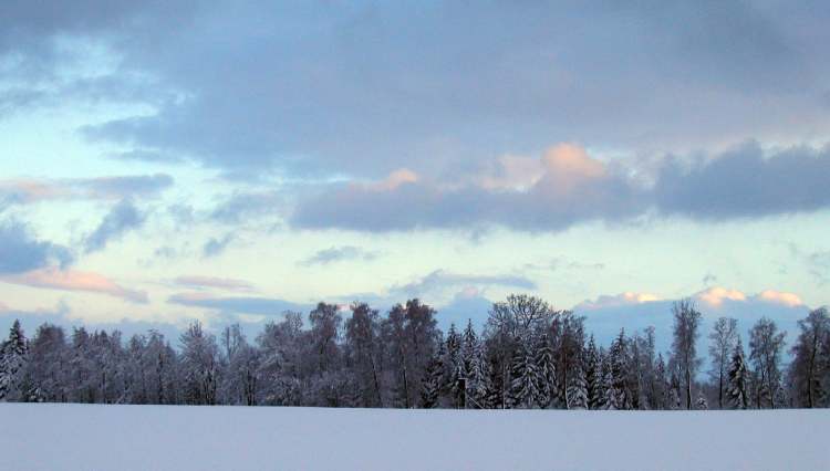 Winterstimmung (Bitte hier klicken um dieses Bild in seiner vollen Größe zu betrachten)