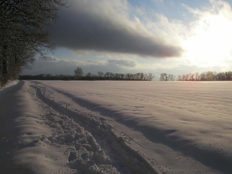 ein Pfad im Schnee (Bitte hier klicken um dieses Bild in seiner vollen Größe zu betrachten)