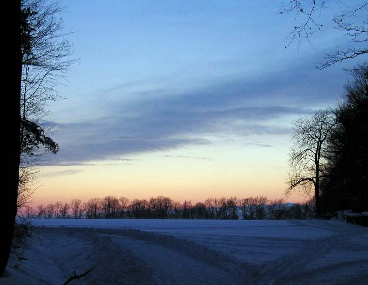 Winterabend (Bitte hier klicken um dieses Bild in seiner vollen Größe zu betrachten)