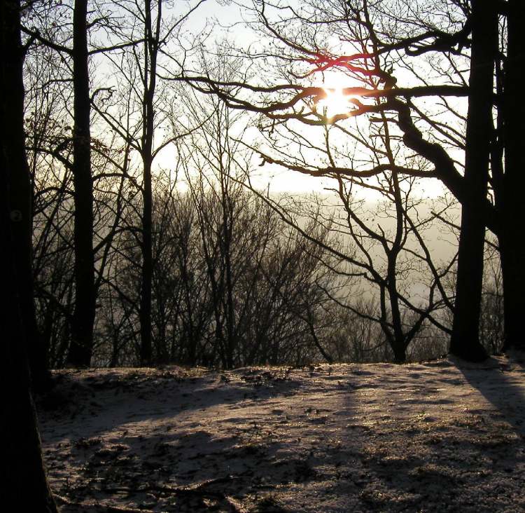 Wintersonne scheint in den Wald (Bitte hier klicken um dieses Bild in seiner vollen Größe zu betrachten)