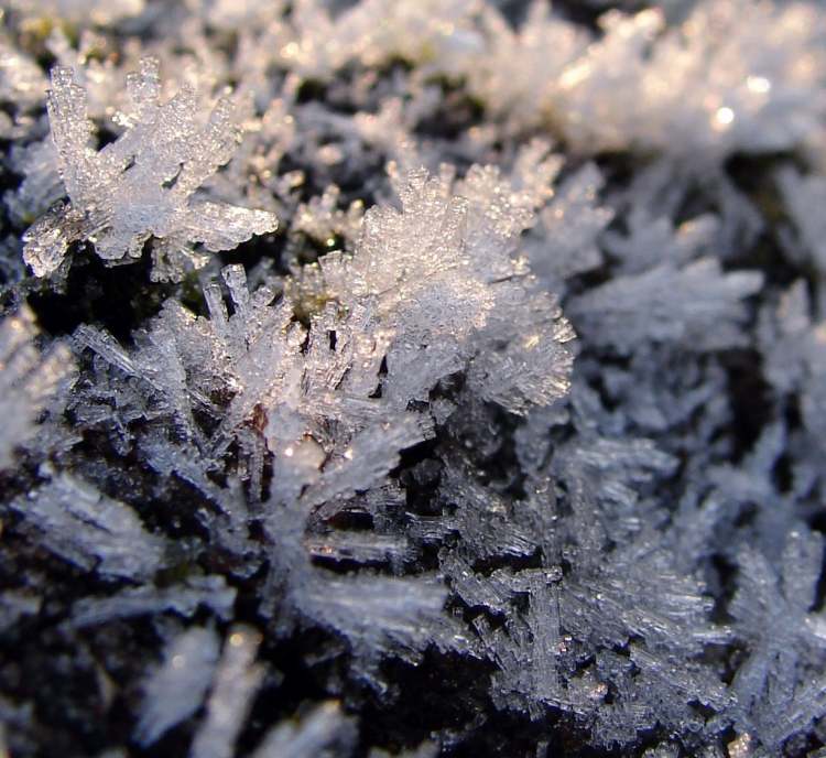 winterliche Eiskristalle (Bitte hier klicken um dieses Bild in seiner vollen Größe zu betrachten)