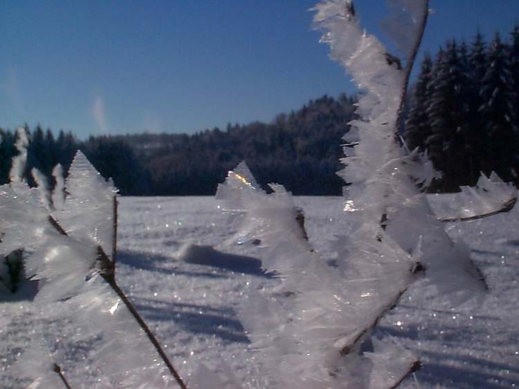 Wintereiskristalle im Sonnenlicht (Bitte hier klicken um dieses Bild in seiner vollen Größe zu betrachten)