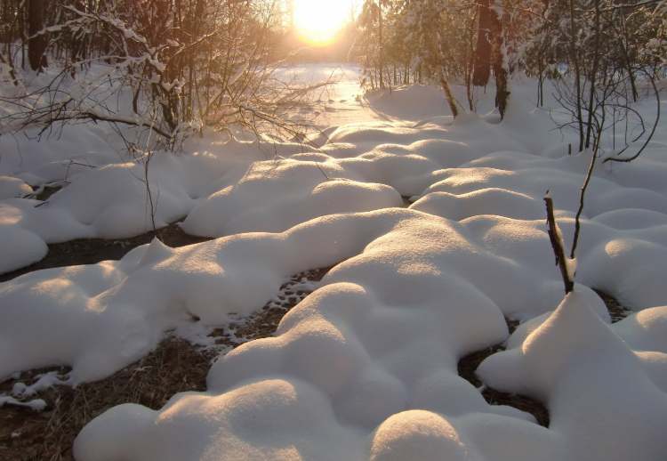 Winter Sonne Schnee (Bitte hier klicken um dieses Bild in seiner vollen Größe zu betrachten)