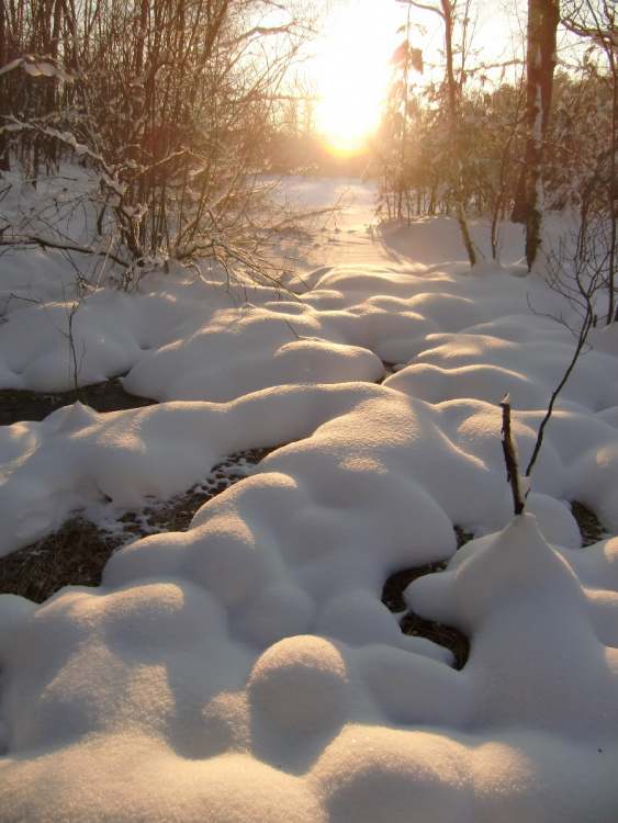 Winterstimmung mit Sonnenlicht (Bitte hier klicken um dieses Bild in seiner vollen Größe zu betrachten)