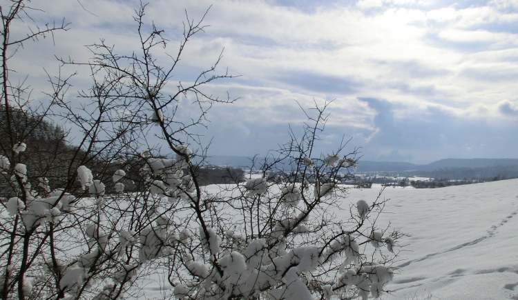 Wintertag (Bitte hier klicken um dieses Bild in seiner vollen Größe zu betrachten)