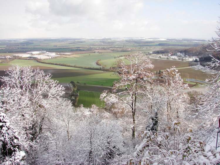 winterliche Bäume mit Schnee (Bitte hier klicken um dieses Bild in seiner vollen Größe zu betrachten)