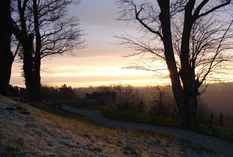 mächtige Bäume auf der Bastei (Bitte hier klicken um dieses Bild in seiner vollen Größe zu betrachten)