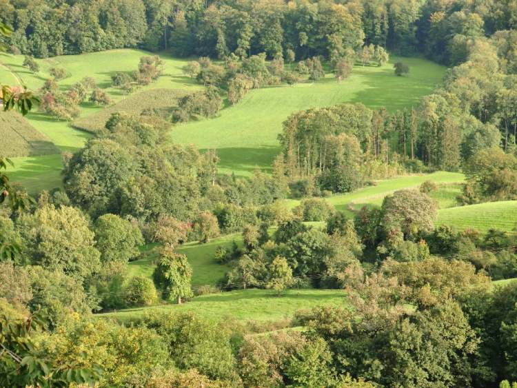 idyllische Landschaft (Bitte hier klicken um dieses Bild in seiner vollen Größe zu betrachten)