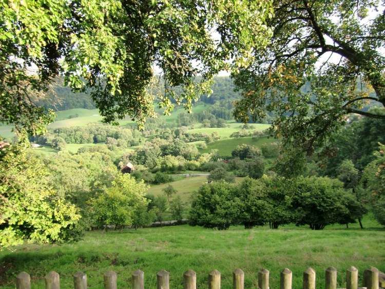 Wiesen, Land und Wald (Bitte hier klicken um dieses Bild in seiner vollen Größe zu betrachten)