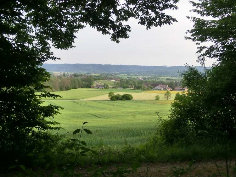 idyllischer Landschaftsblick (Bitte hier klicken um dieses Bild in seiner vollen Größe zu betrachten)