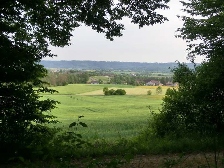 idyllischer Landschaftsblick (Bitte hier klicken um dieses Bild in seiner vollen Größe zu betrachten)