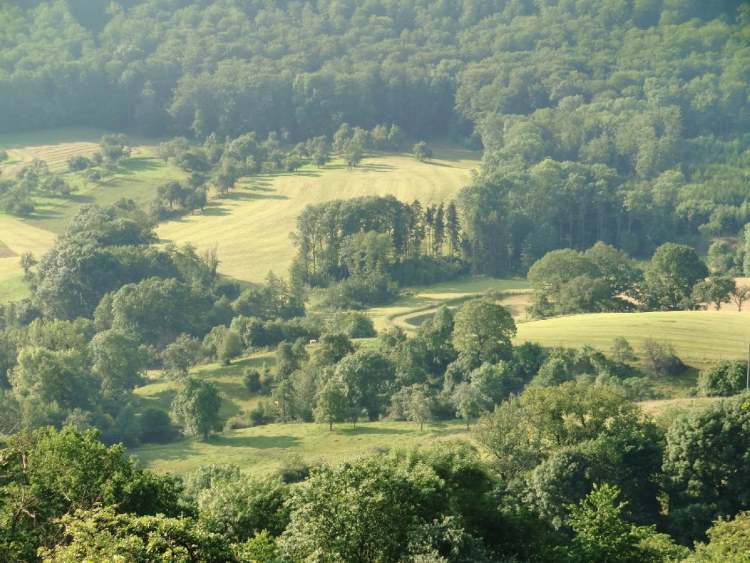 Wiesen- und Waldlandschaft (Bitte hier klicken um dieses Bild in seiner vollen Größe zu betrachten)