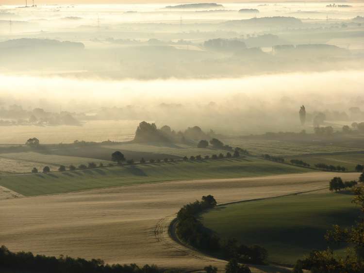 Nebel über Hohenlohe (Bitte hier klicken um dieses Bild in seiner vollen Größe zu betrachten)
