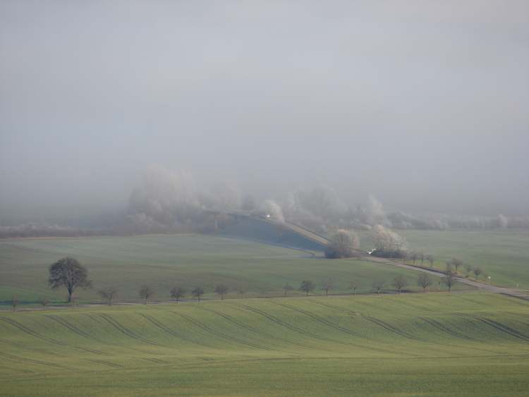 dichter Nebel über Hohenlohe (Bitte hier klicken um dieses Bild in seiner vollen Größe zu betrachten)