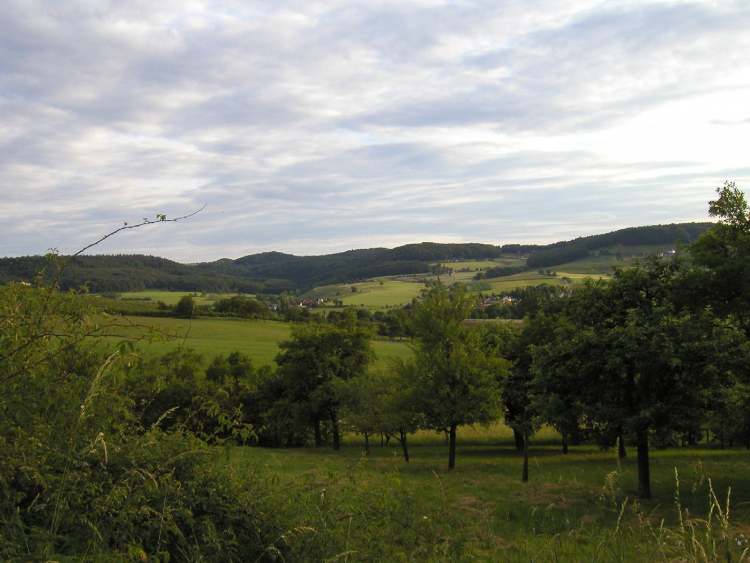 Bei Michelbach am Wald (Bitte hier klicken um dieses Bild in seiner vollen Größe zu betrachten)