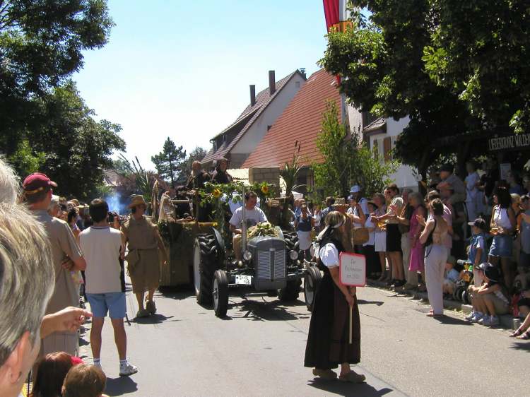 Fischmeister um 1500 (Bitte hier klicken um dieses Bild in seiner vollen Größe zu betrachten)