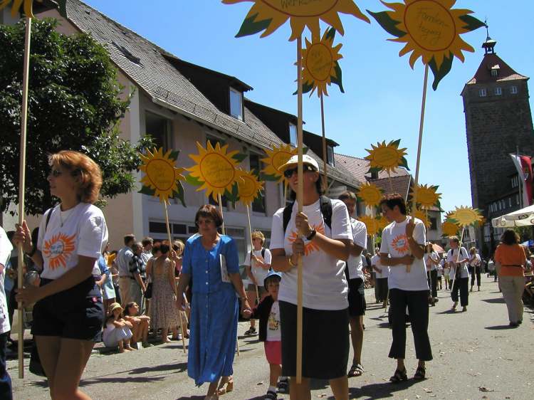 Die Sonnenschildergruppe (Bitte hier klicken um dieses Bild in seiner vollen Größe zu betrachten)