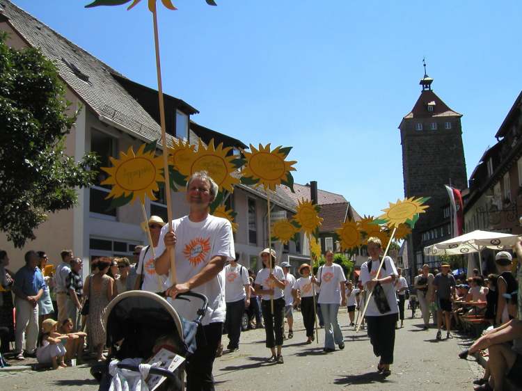 Sonnenschilder (Bitte hier klicken um dieses Bild in seiner vollen Größe zu betrachten)