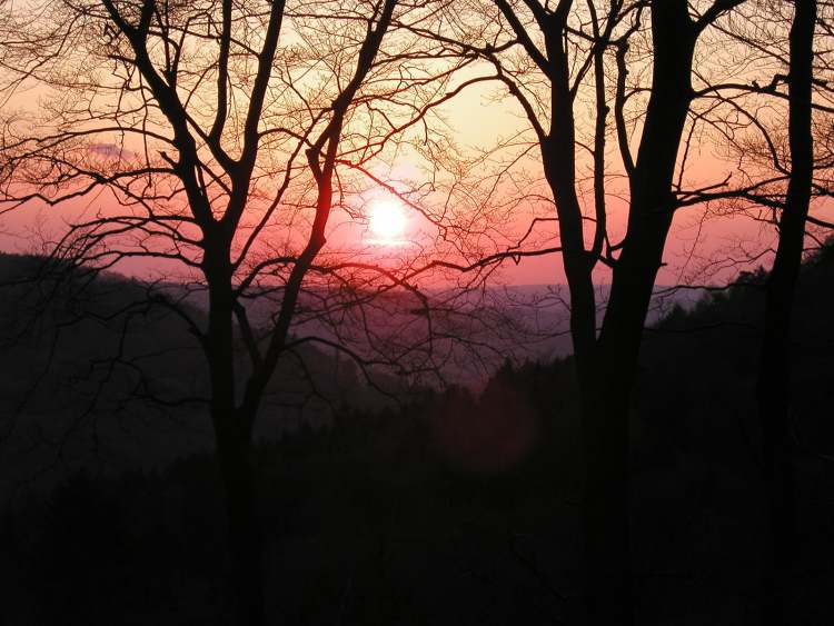 Abendstimmung Sonnenuntergang  (Bitte hier klicken um dieses Bild in seiner vollen Größe zu betrachten)