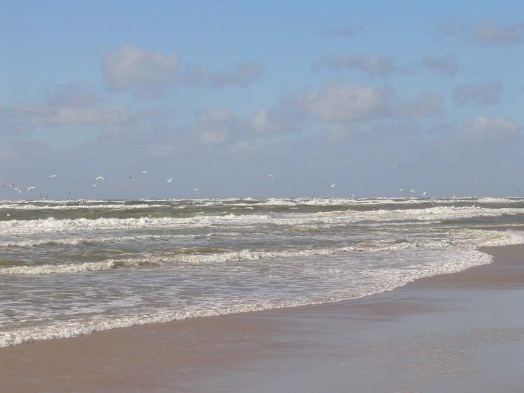 Wellen kommen am Strand an (Bitte hier klicken um dieses Bild in seiner vollen Größe zu betrachten)