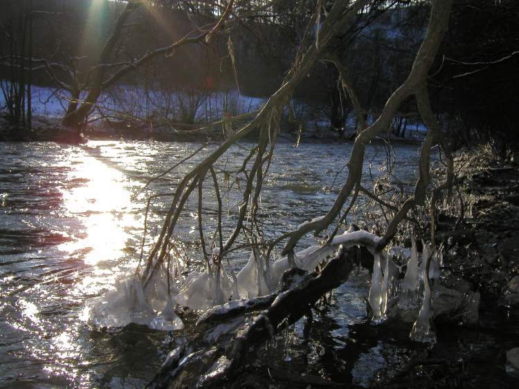 Eiskristalle ragen in den Kocher bei Schwäbisch Hall Tullau (Bitte hier klicken um dieses Bild in seiner vollen Größe zu betrachten)