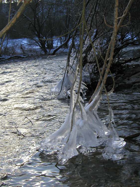 Eiskristalle vom Wasser umspült (Bitte hier klicken um dieses Bild in seiner vollen Größe zu betrachten)