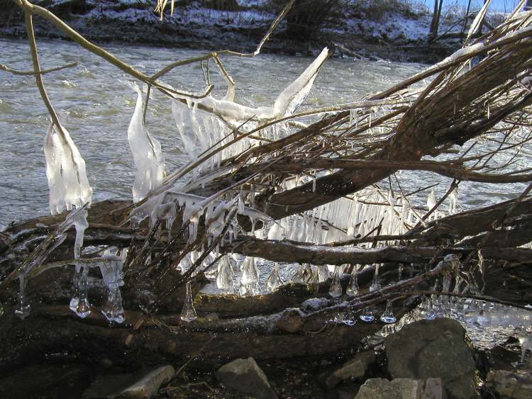 Eiskristalle im Kocher bei Schwäbisch Hall Tullau (Bitte hier klicken um dieses Bild in seiner vollen Größe zu betrachten)