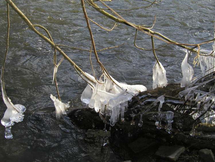 Eiskristalle wachsen in den Kocher bei Schwäbisch Hall Tullau (Bitte hier klicken um dieses Bild in seiner vollen Größe zu betrachten)