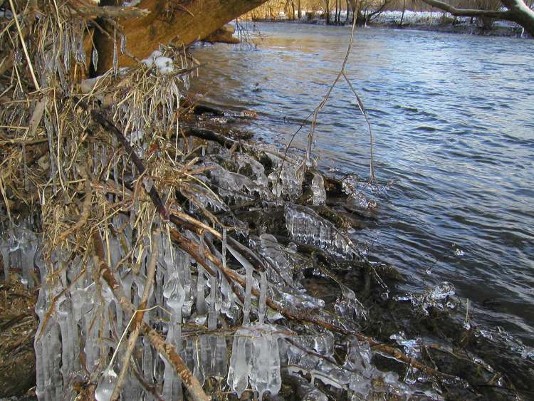 Eiskristalle am Flussufer (Bitte hier klicken um dieses Bild in seiner vollen Größe zu betrachten)