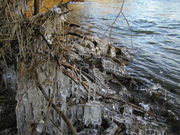 Eiskristalle am Flussufer im Winter (Bitte hier klicken um dieses Bild in seiner vollen Größe zu betrachten)
