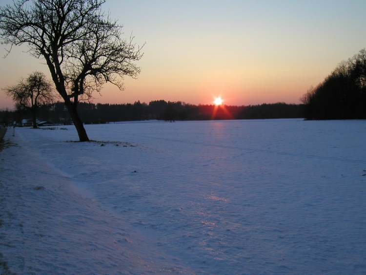 ein Winterabend neigt sich zu Ende (Bitte hier klicken um dieses Bild in seiner vollen Größe zu betrachten)