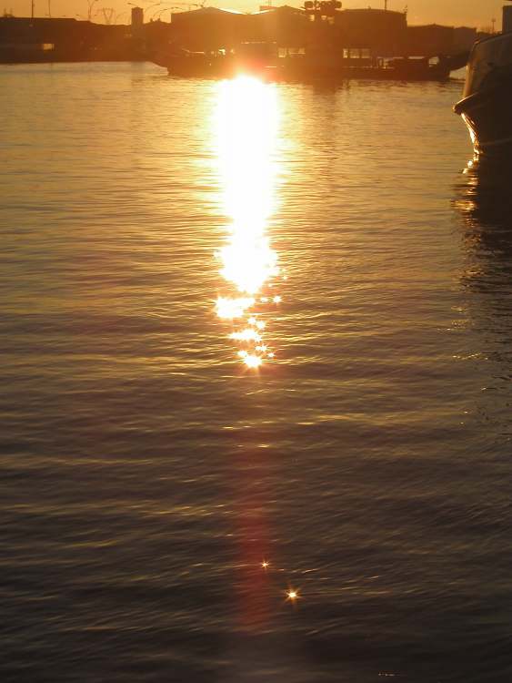 Abendsonne im Hafen (Bitte hier klicken um dieses Bild in seiner vollen Größe zu betrachten)
