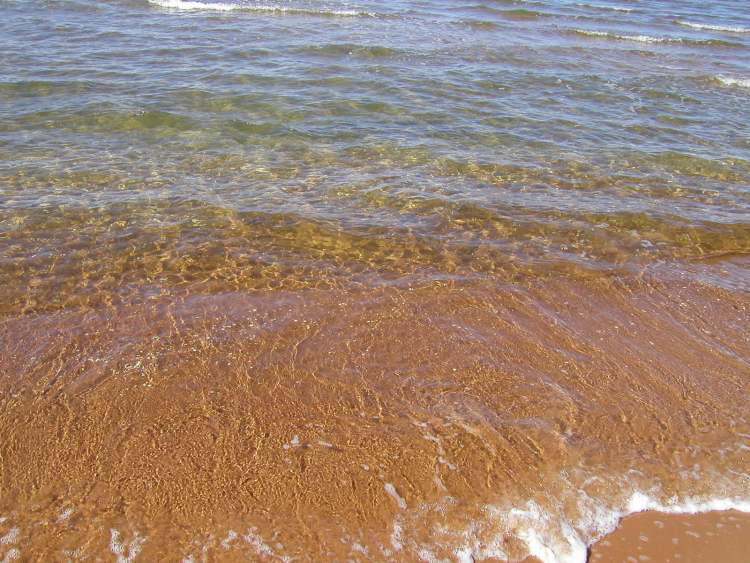 Meereswasser an der schwedischen Küste (Bitte hier klicken um dieses Bild in seiner vollen Größe zu betrachten)