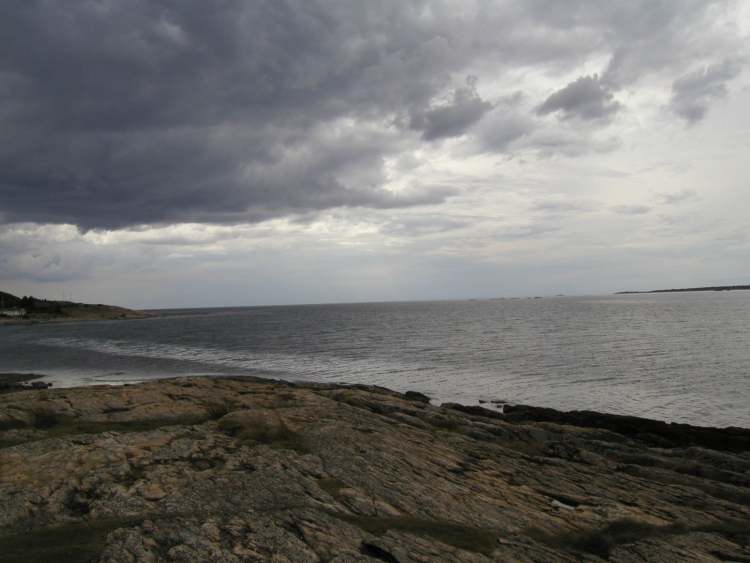 Schwedenküste bei Asa  (Bitte hier klicken um dieses Bild in seiner vollen Größe zu betrachten)