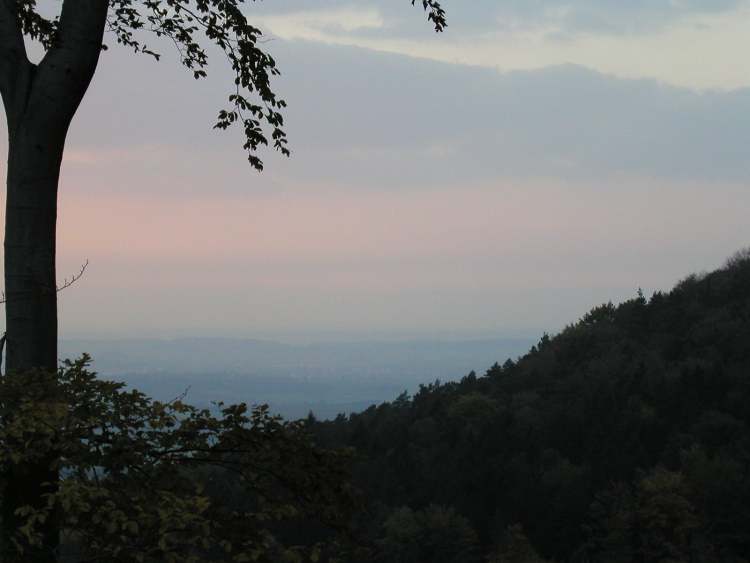 Waldabendstimmung Ausblick (Bitte hier klicken um dieses Bild in seiner vollen Größe zu betrachten)