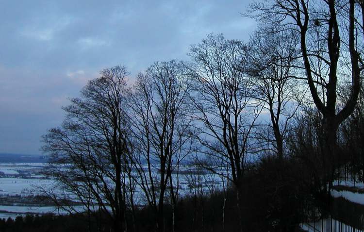 Waldenburg Bastei Abendstimmung - die schönen Bäume (Bitte hier klicken um dieses Bild in seiner vollen Größe zu betrachten)