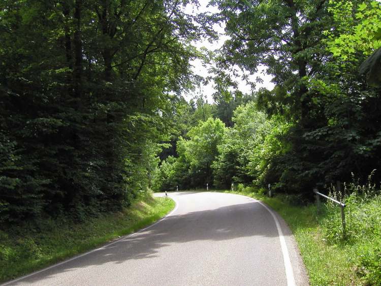 durch den Wald fahren (Bitte hier klicken um dieses Bild in seiner vollen Größe zu betrachten)