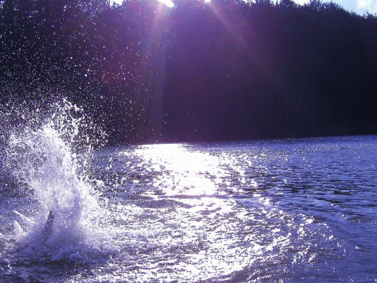 Wasserspritzer im Sonnenlicht (Bitte hier klicken um dieses Bild in seiner vollen Größe zu betrachten)