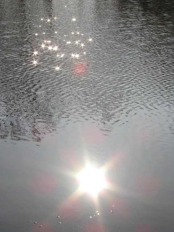 Wasser und Sonnenlicht (Bitte hier klicken um dieses Bild in seiner vollen Größe zu betrachten)