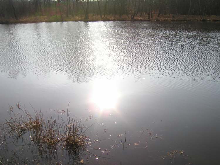 Sonne im See (Bitte hier klicken um dieses Bild in seiner vollen Größe zu betrachten)