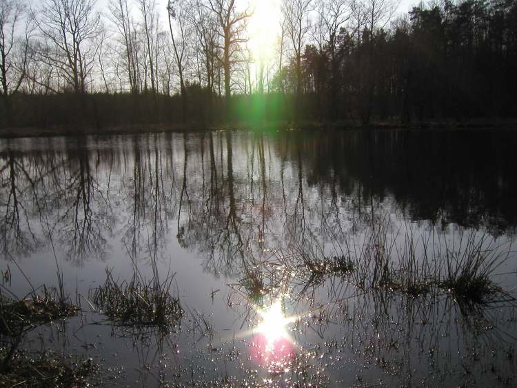 Sonnenspiegelung im Wasser (Bitte hier klicken um dieses Bild in seiner vollen Größe zu betrachten)