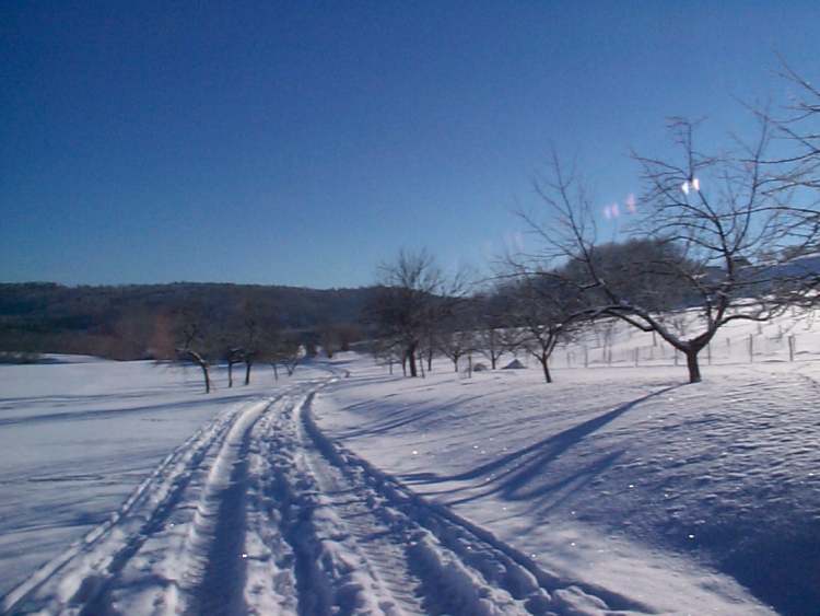 Winterweg durc Winterlandschaft (Bitte hier klicken um dieses Bild in seiner vollen Größe zu betrachten)