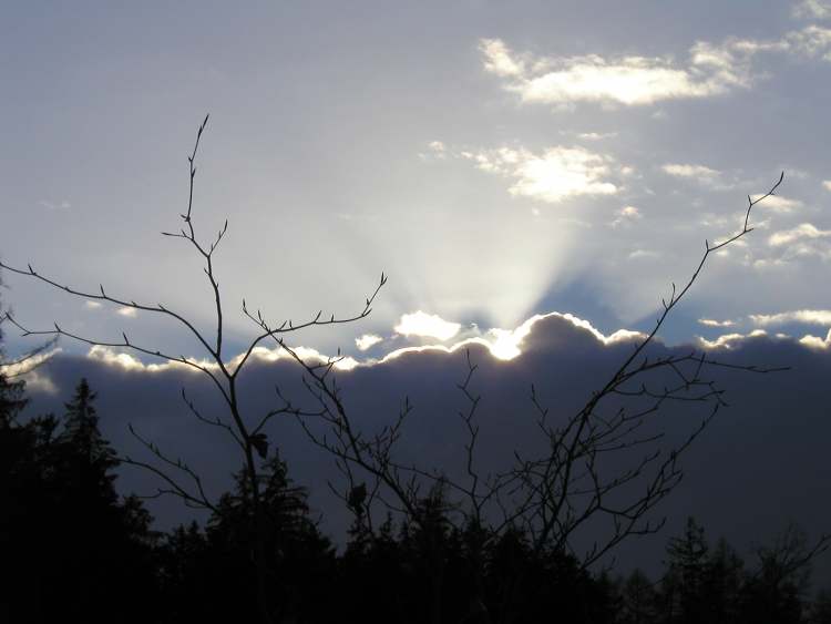 Winterhimmel Sonnenstrahlen (Bitte hier klicken um dieses Bild in seiner vollen Größe zu betrachten)