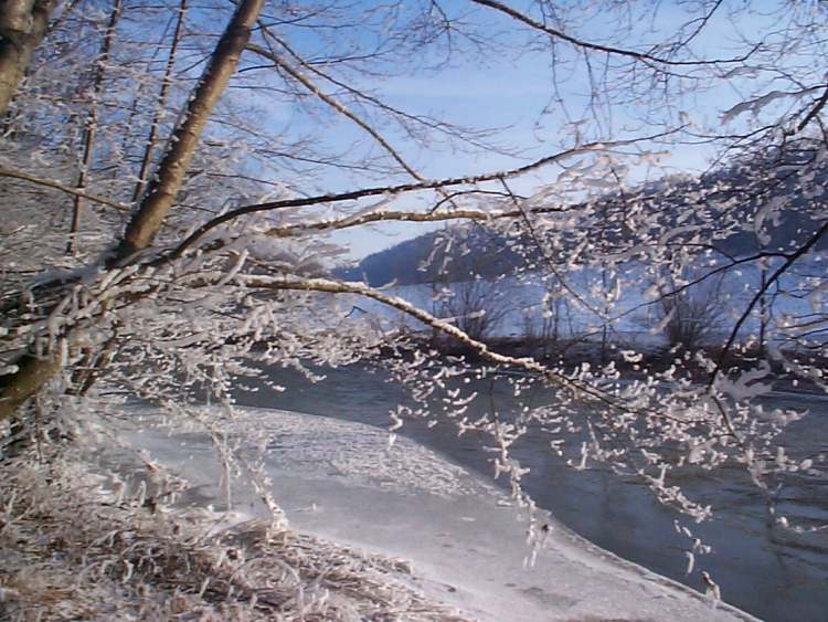 herrliche Winter Stimmung am Fluß (Bitte hier klicken um dieses Bild in seiner vollen Größe zu betrachten)